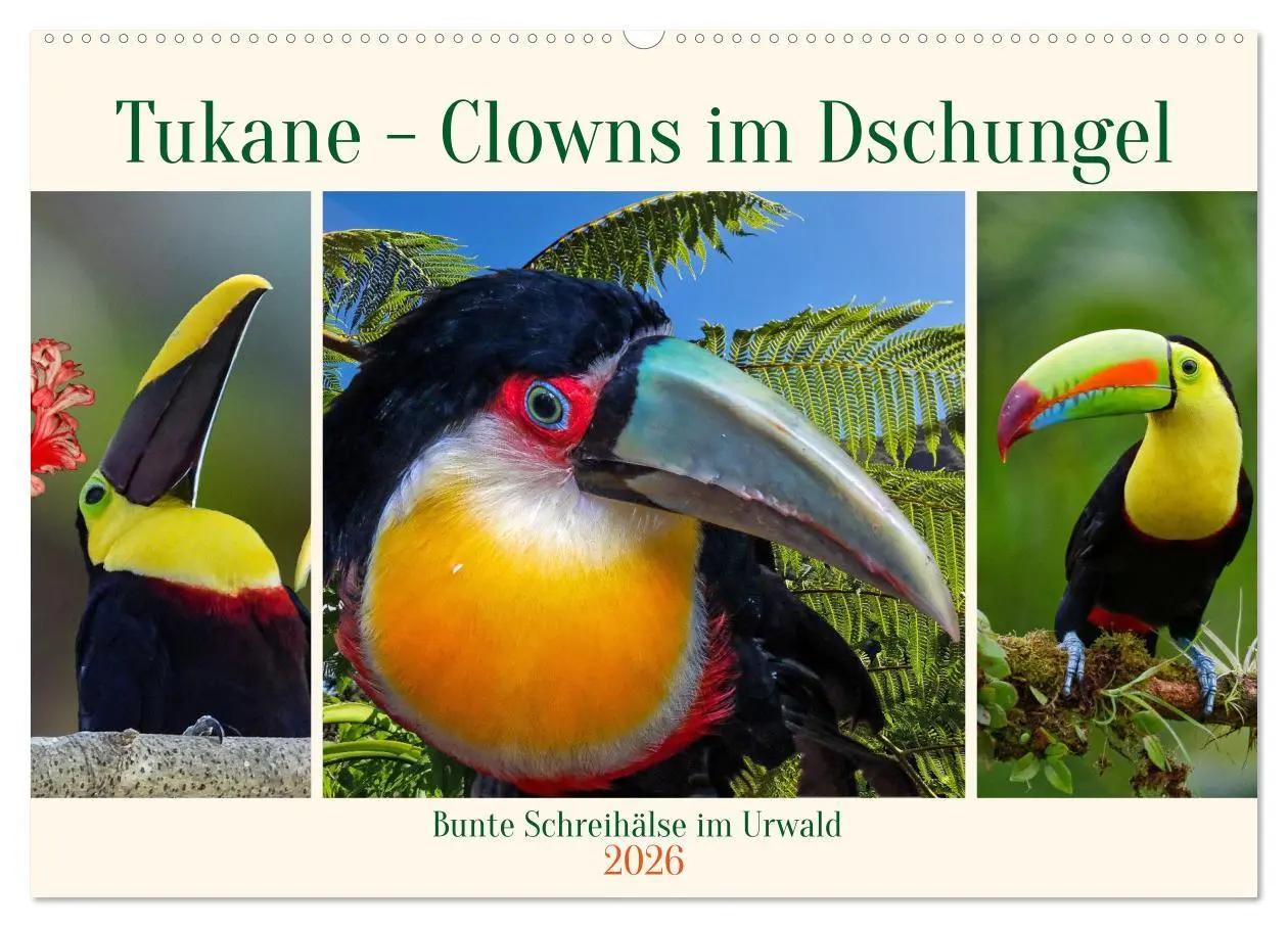 Cover: 9783457255698 | Tukane - Clowns im Dschungel (Wandkalender 2026 DIN A2 quer),...