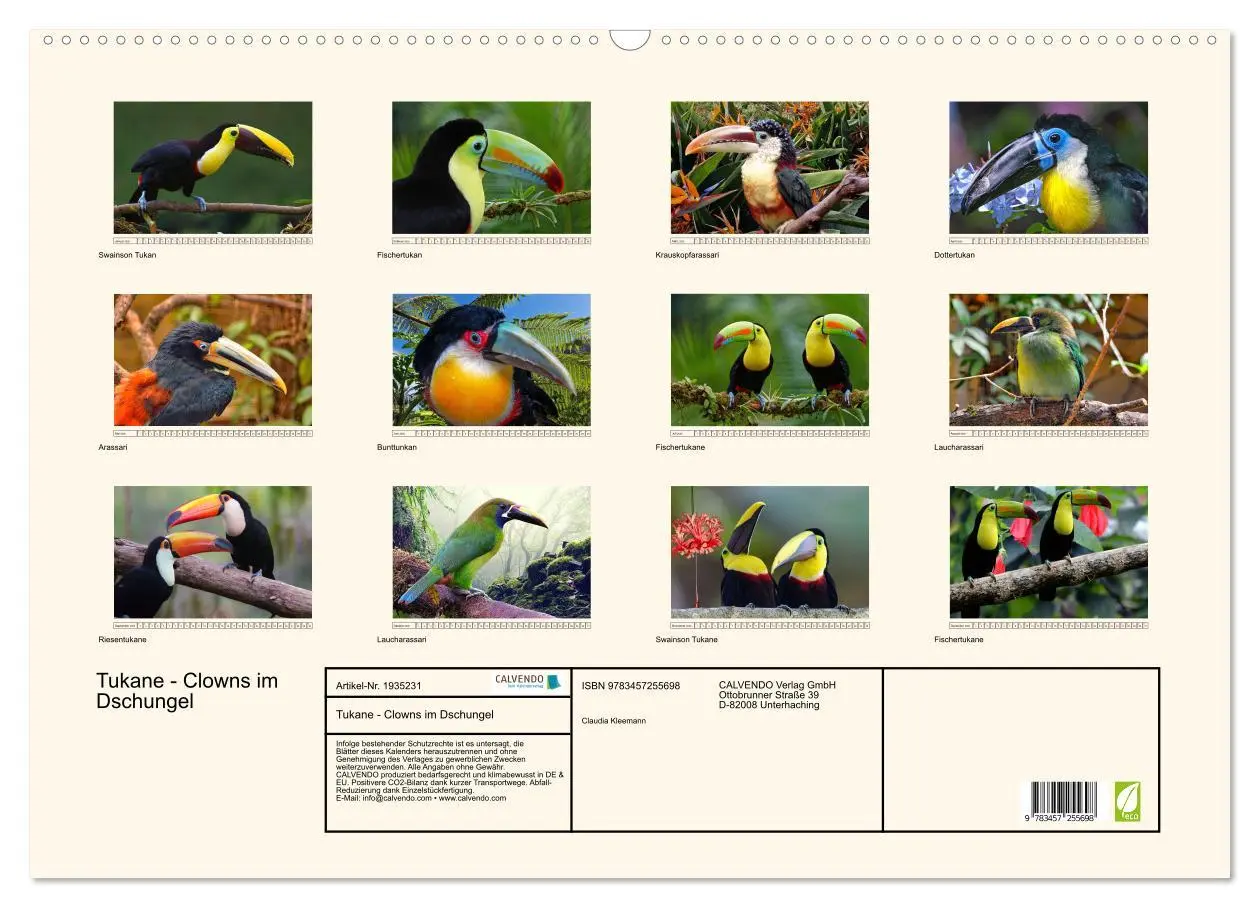 Bild: 9783457255698 | Tukane - Clowns im Dschungel (Wandkalender 2026 DIN A2 quer),...