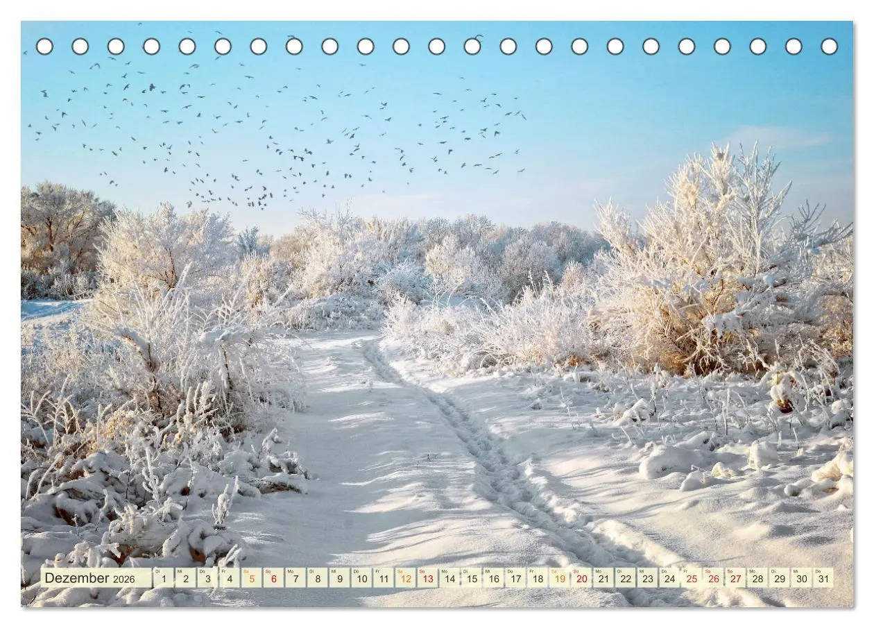 Bild: 9783457635698 | Traumwege entdecken (Tischkalender 2026 DIN A5 quer), CALVENDO...