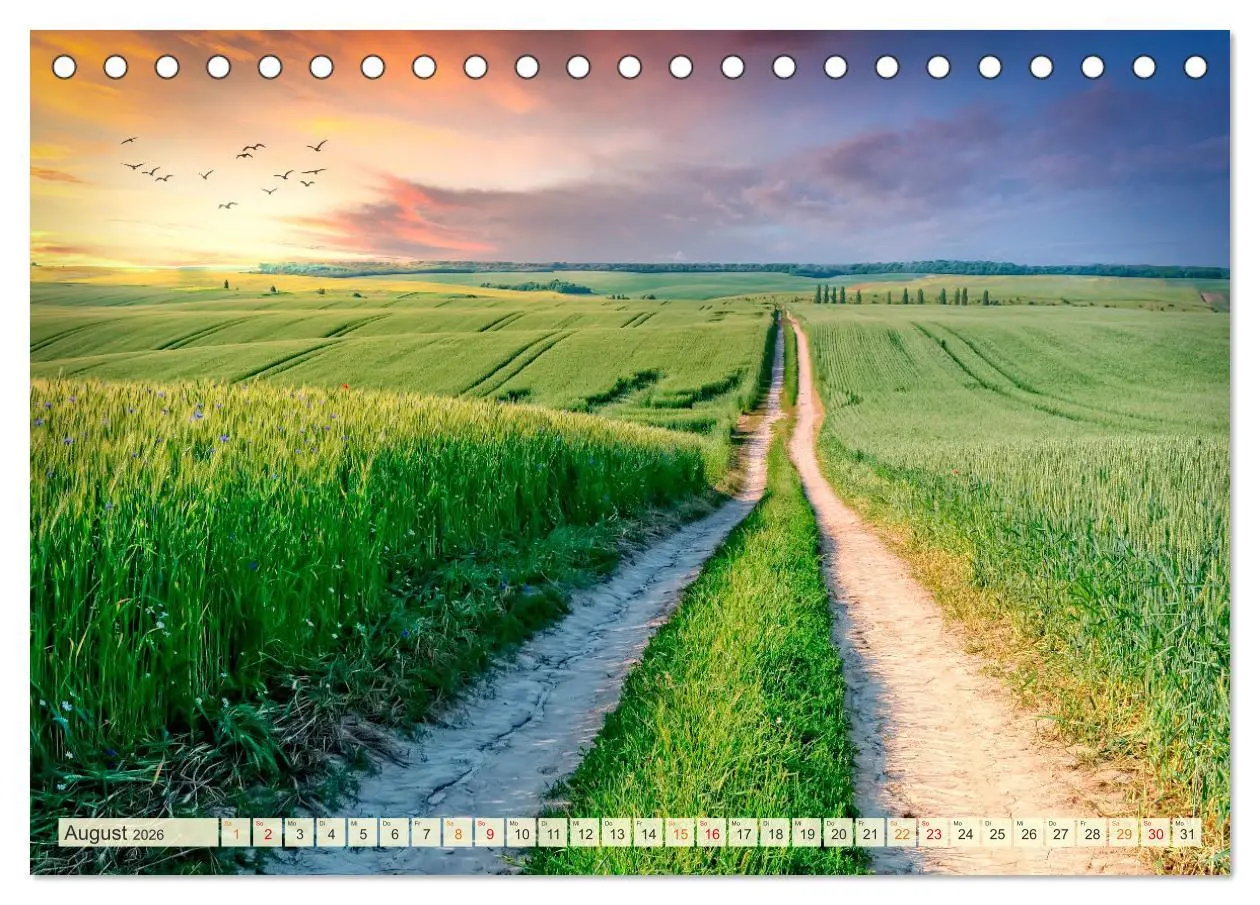 Bild: 9783457635698 | Traumwege entdecken (Tischkalender 2026 DIN A5 quer), CALVENDO...