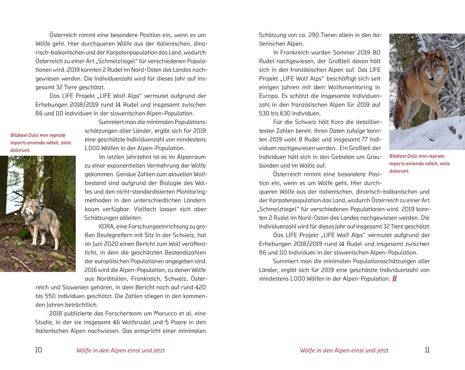 Bild: 9788868395698 | Der Wolf im Visier - Konflikte und Lösungsansätze | Buch | 352 S.