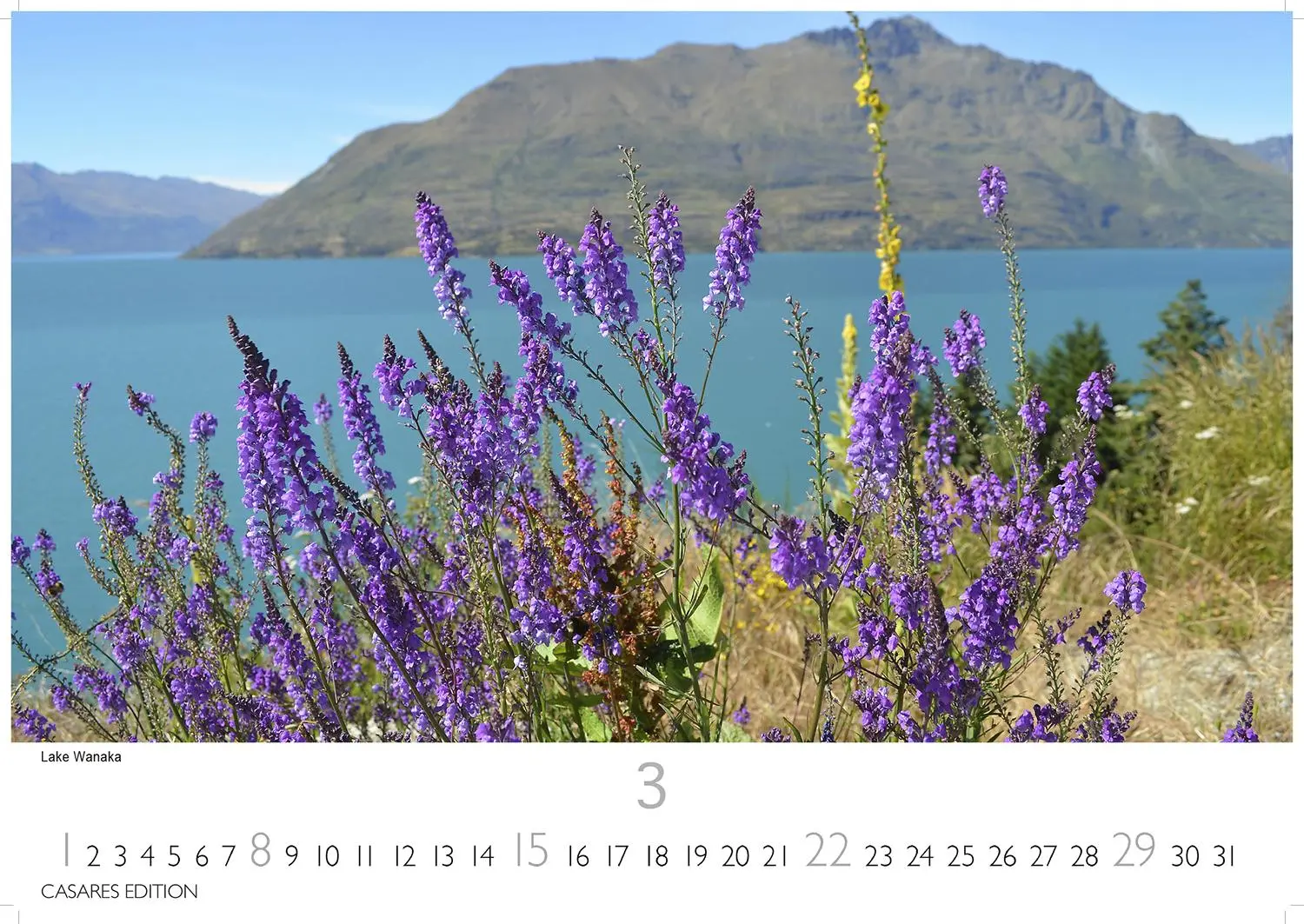 Bild: 9781835245798 | Neuseeland 2026 S 24x35cm | Kalender | 14 S. | Deutsch | 2026