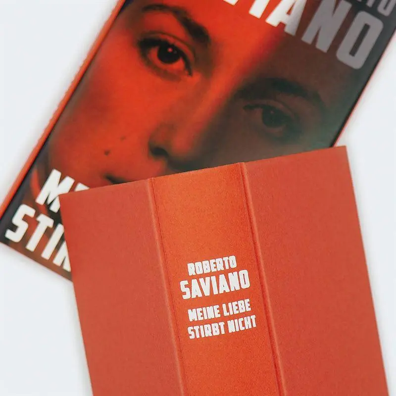 Bild: 9783446285798 | Meine Liebe stirbt nicht | Roman | Roberto Saviano | Buch | 400 S.