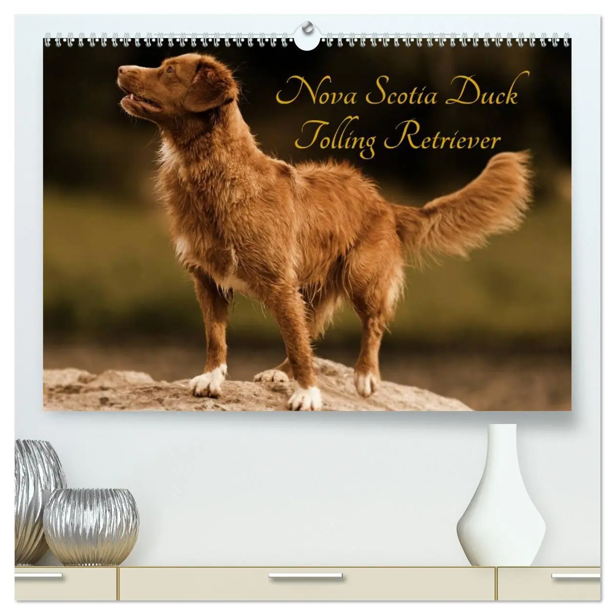 Cover: 9783516025798 | Nova Scotia Duck Tolling Retriever (hochwertiger Premium...