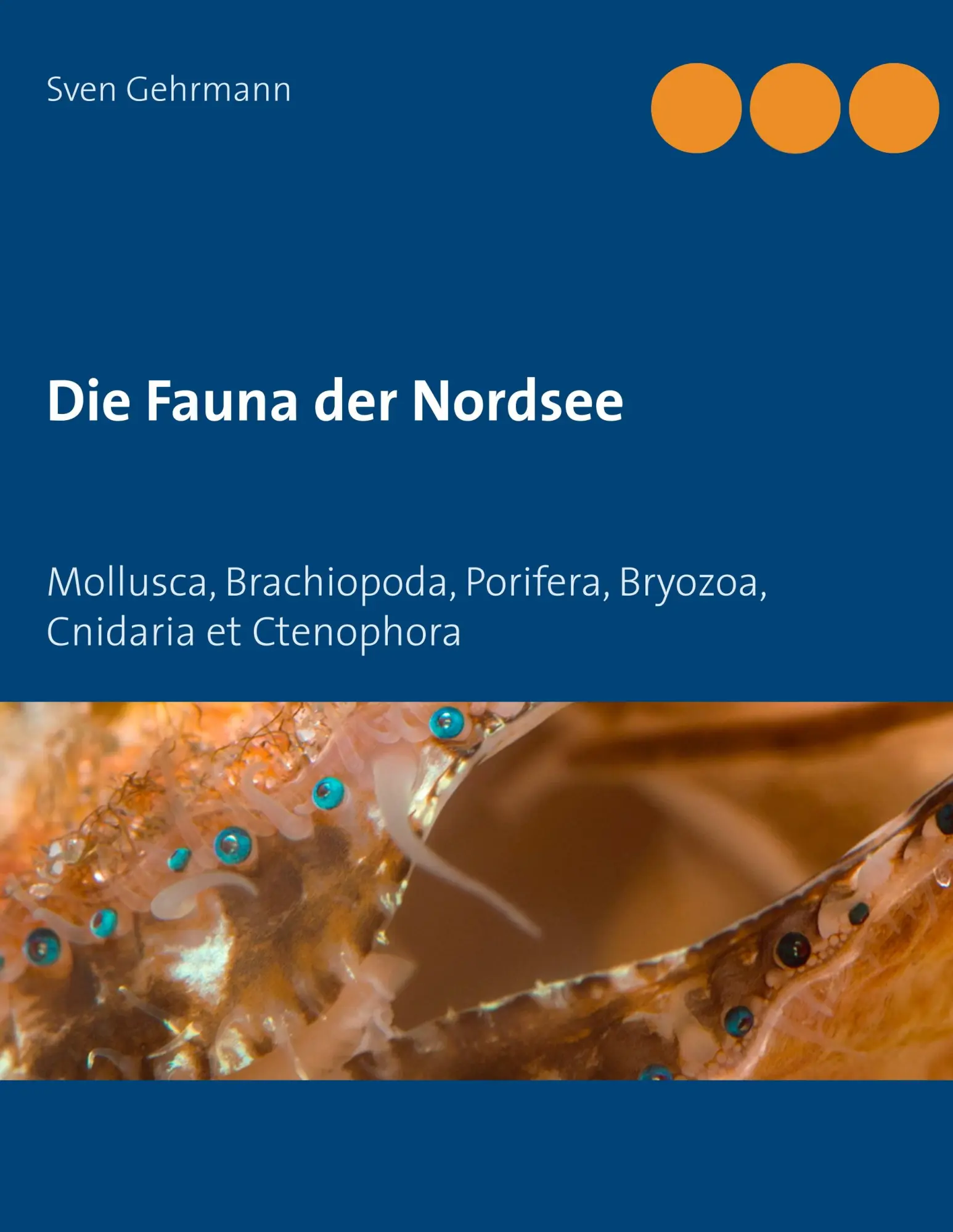 Cover: 9783748155898 | Die Fauna der Nordsee | Sven Gehrmann | Taschenbuch | 276 S. | Deutsch