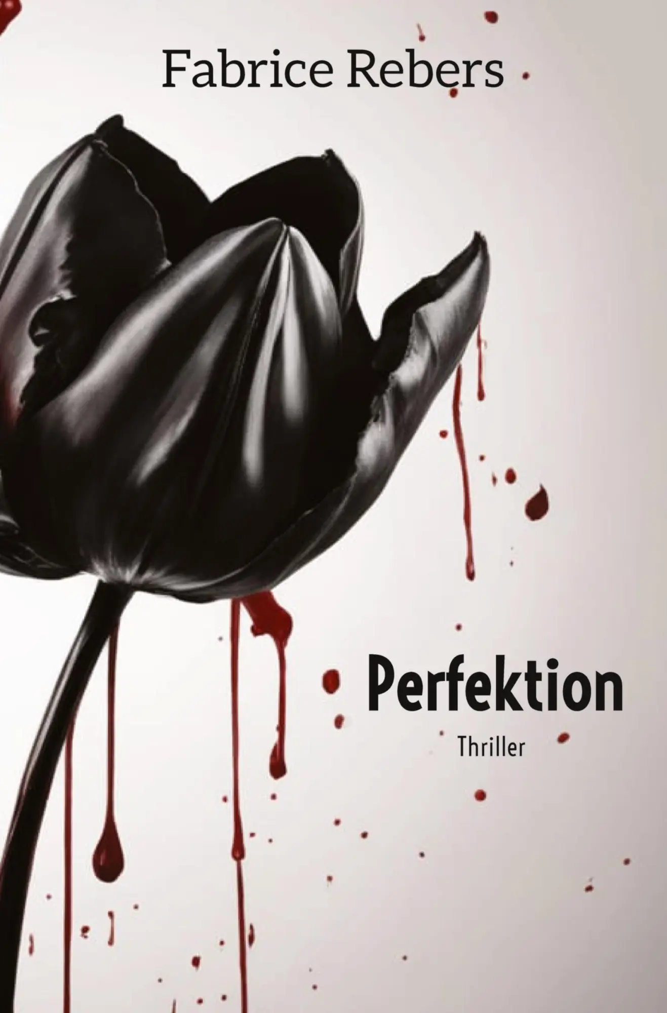 Cover: 9783384035998 | Perfektion | Fabrice Rebers | Taschenbuch | Paperback | 352 S. | 2023