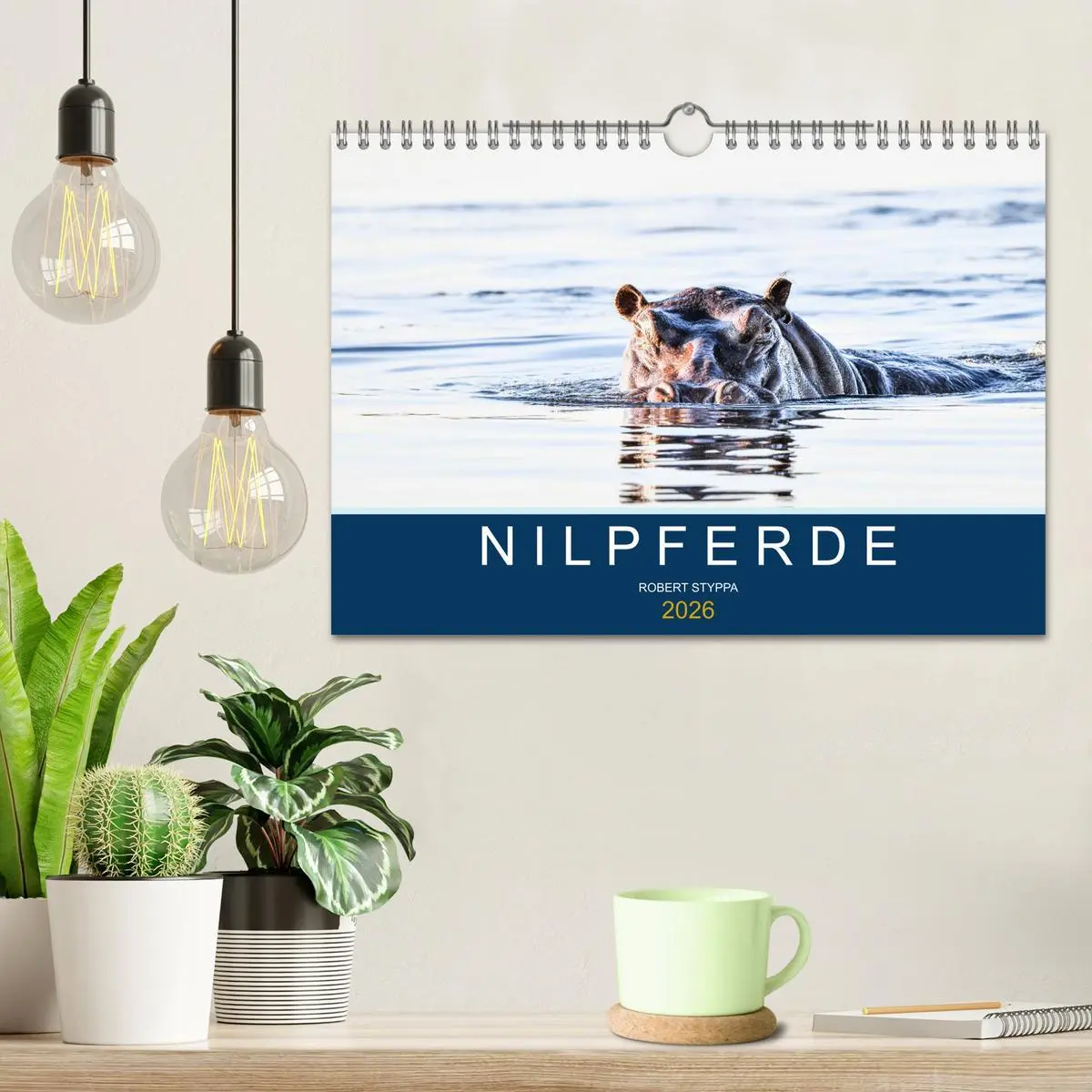 Bild: 9783457605998 | Nilpferde, Kolosse in Afrika (Wandkalender 2026 DIN A4 quer),...