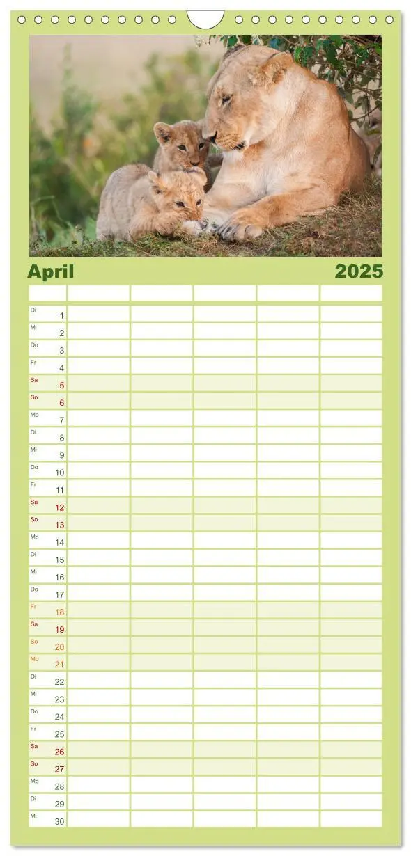Bild: 9783457116098 | Familienplaner 2025 - Emotionale Momente: Afrika Wildlife. Part 3....