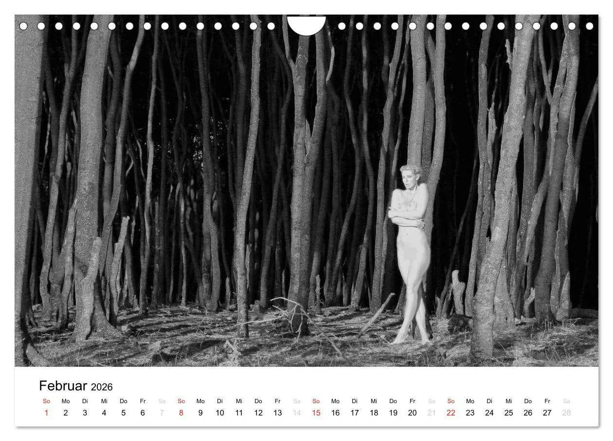 Bild: 9783457976098 | Klassischer Akt schwarz und weiß (Wandkalender 2026 DIN A4 quer),...