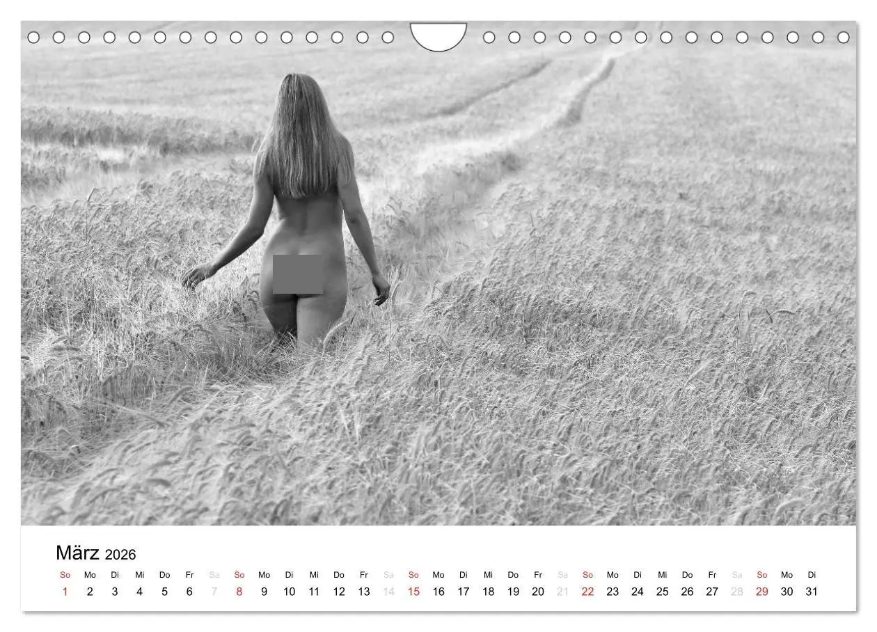 Bild: 9783457976098 | Klassischer Akt schwarz und weiß (Wandkalender 2026 DIN A4 quer),...