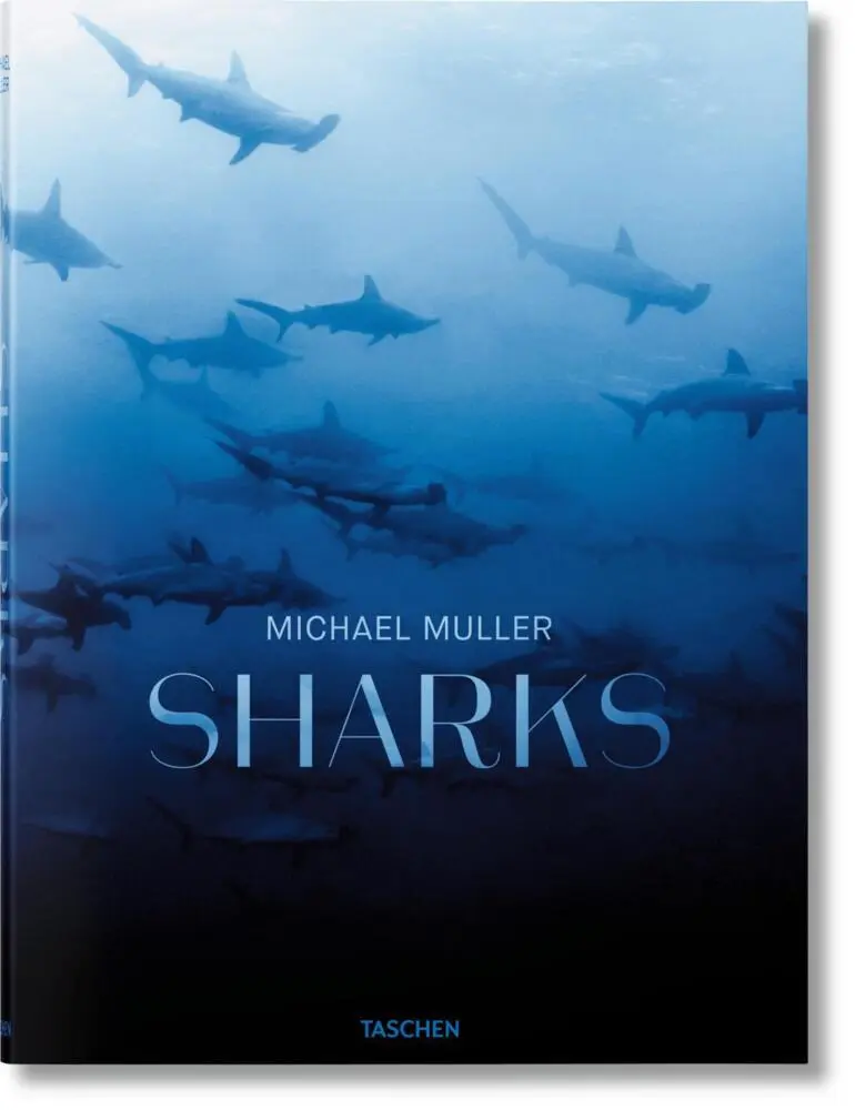 Cover: 9783836526098 | Michael Muller. Squali | Arty Nelson (u. a.) | Buch | 334 S. | 2024