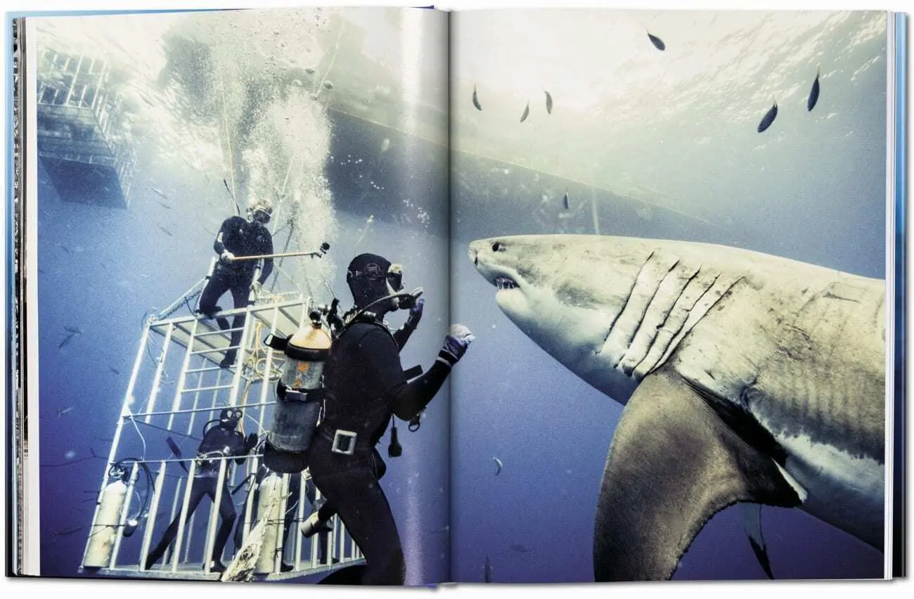 Bild: 9783836526098 | Michael Muller. Squali | Arty Nelson (u. a.) | Buch | 334 S. | 2024