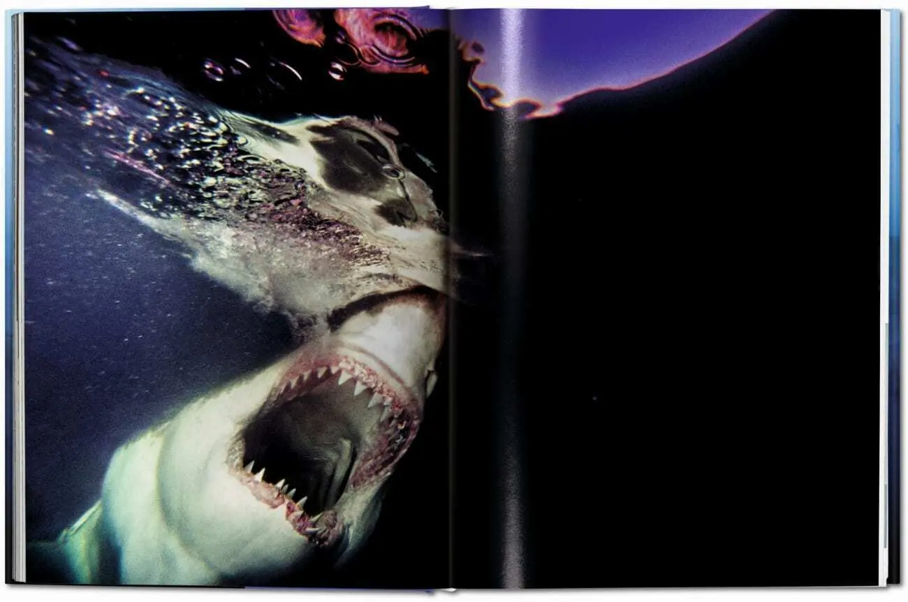 Bild: 9783836526098 | Michael Muller. Squali | Arty Nelson (u. a.) | Buch | 334 S. | 2024