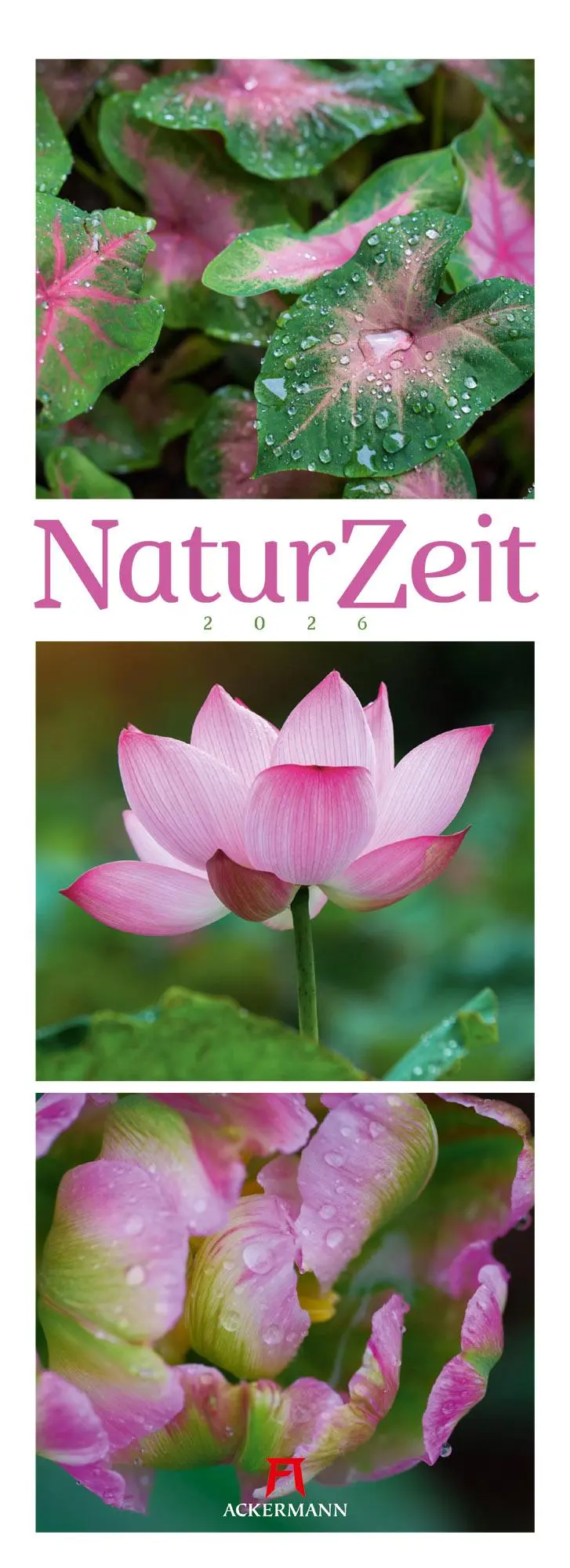 Cover: 9783838436098 | NaturZeit Triplet-Kalender 2026 | Ackermann Kunstverlag GmbH | 14 S.