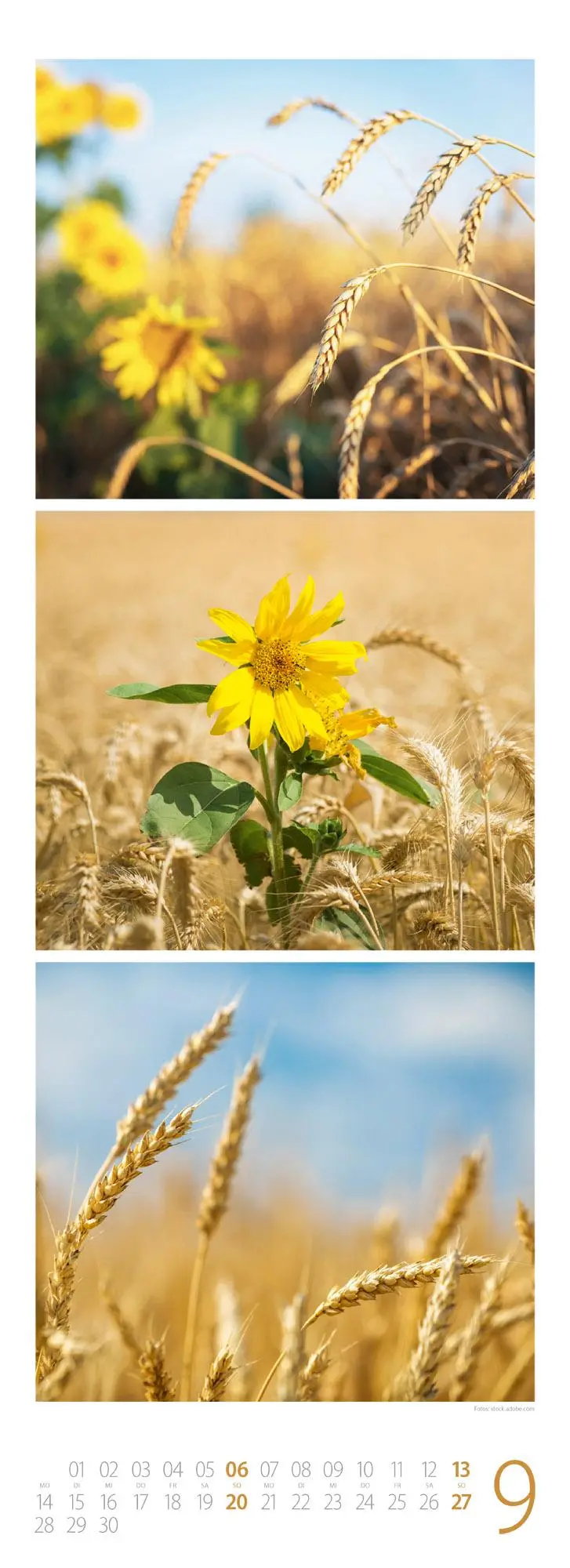 Bild: 9783838436098 | NaturZeit Triplet-Kalender 2026 | Ackermann Kunstverlag GmbH | 14 S.