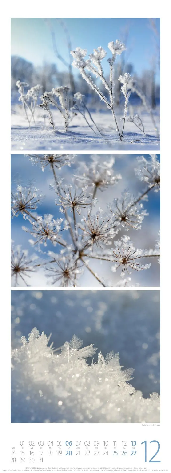 Bild: 9783838436098 | NaturZeit Triplet-Kalender 2026 | Ackermann Kunstverlag GmbH | 14 S.