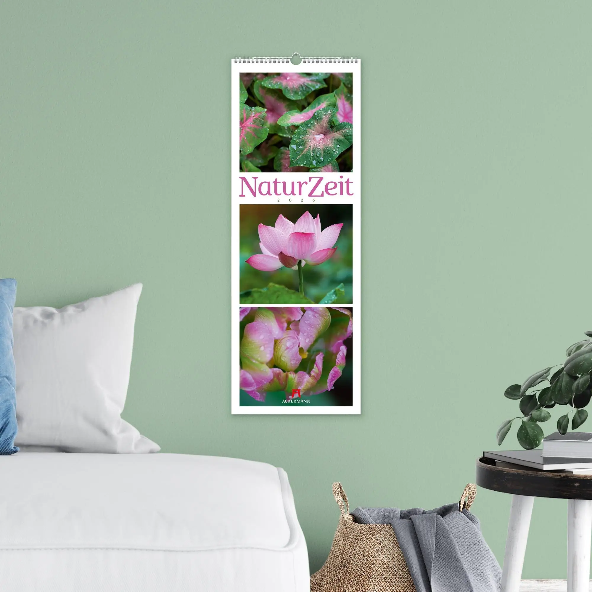 Bild: 9783838436098 | NaturZeit Triplet-Kalender 2026 | Ackermann Kunstverlag GmbH | 14 S.