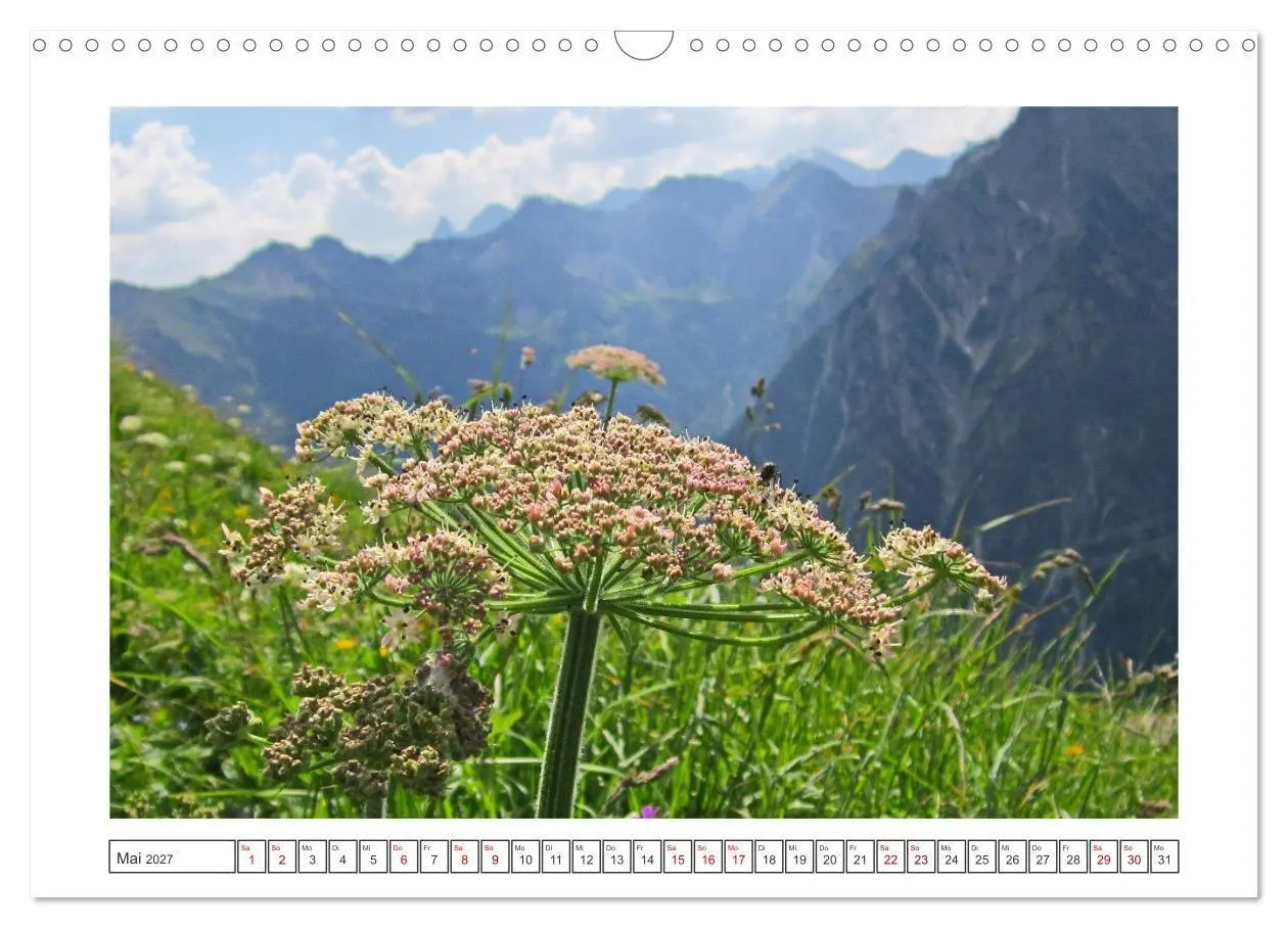 Bild: 9783516816198 | Oberstdorf zu allen Jahreszeiten (Wandkalender 2027 DIN A3 quer),...