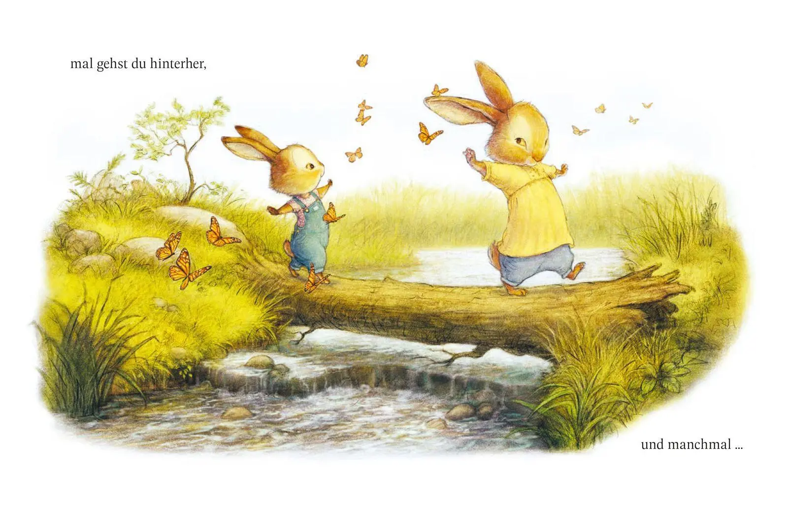 Bild: 9783737376198 | Häschen in der Mitte | Christopher Denise (u. a.) | Buch | 40 S.