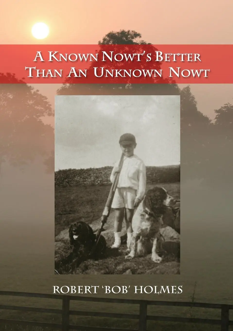 Cover: 9781910406298 | A Known Nowt's Better than an Unknown Nowt | Robert Holmes | Buch