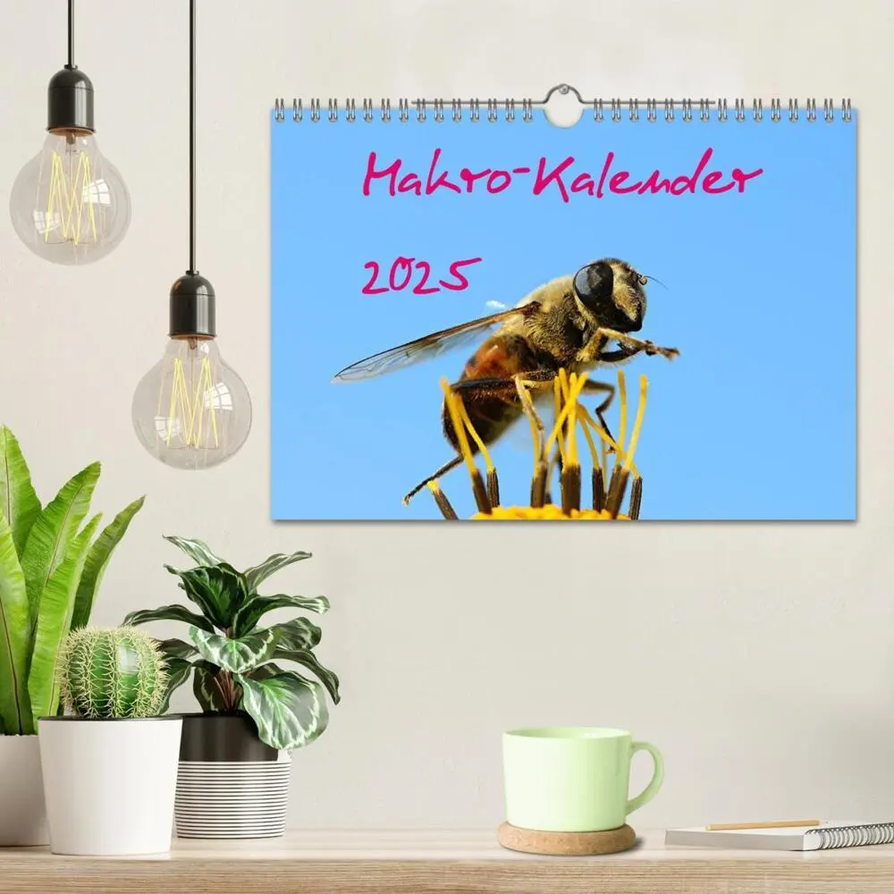 Bild: 9783435796298 | Makro-Kalender 2025 (Wandkalender 2025 DIN A4 quer), CALVENDO...