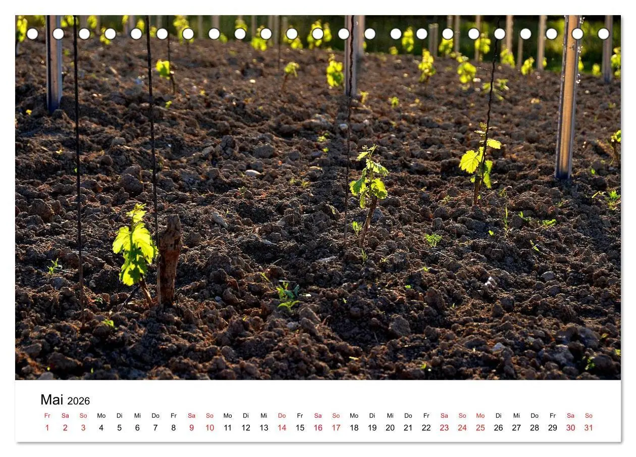 Bild: 9783516046298 | Impressionen vom Kaiserstuhl (Tischkalender 2026 DIN A5 quer),...