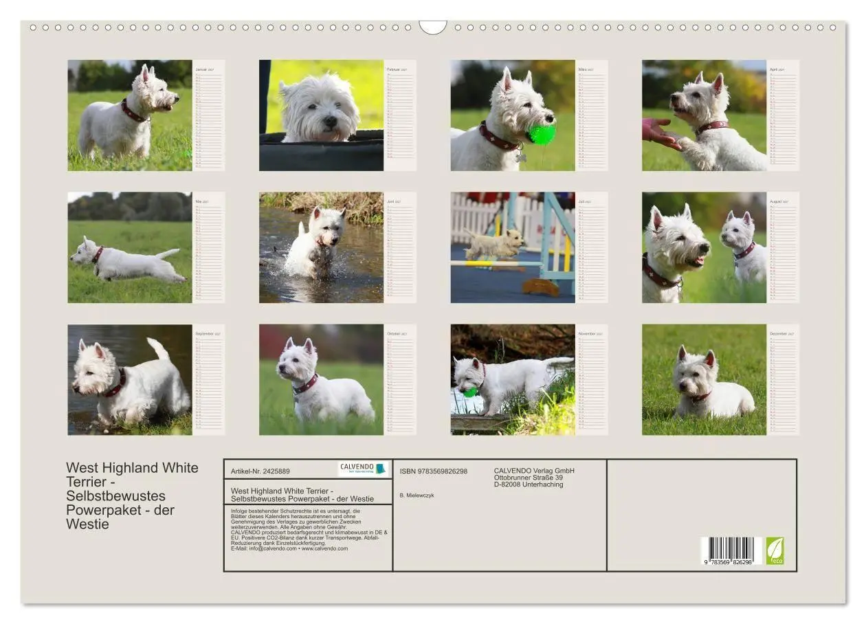 Bild: 9783569826298 | West Highland White Terrier - Selbstbewustes Powerpaket - der...
