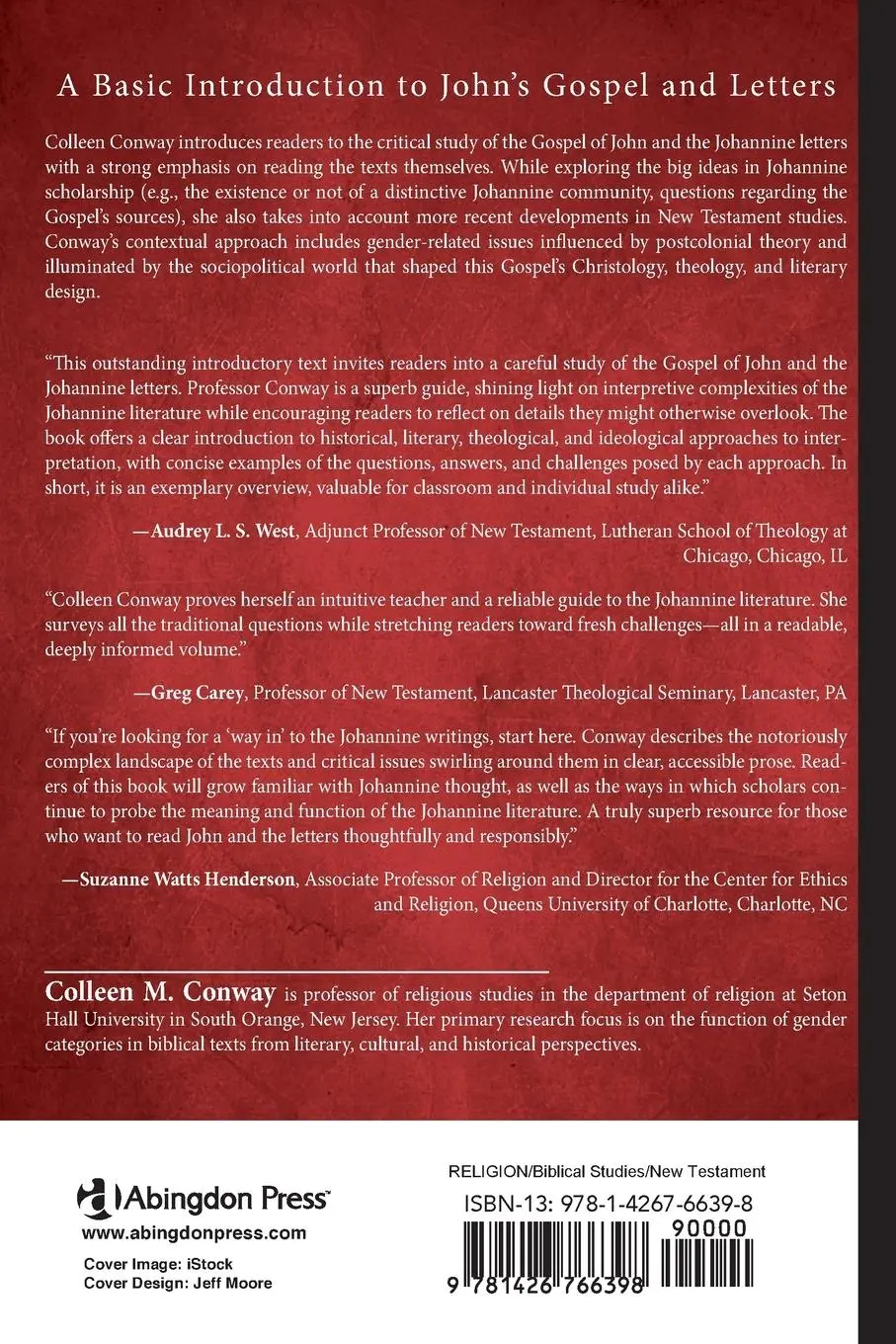 Rückseite: 9781426766398 | John and the Johannine Letters | Colleen M Conway | Taschenbuch | 2017
