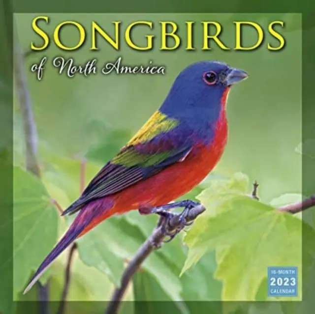 Cover: 9781531916398 | SONGBIRDS OF NORTH AMERICA | Sellers Publishing | Taschenbuch | 2022