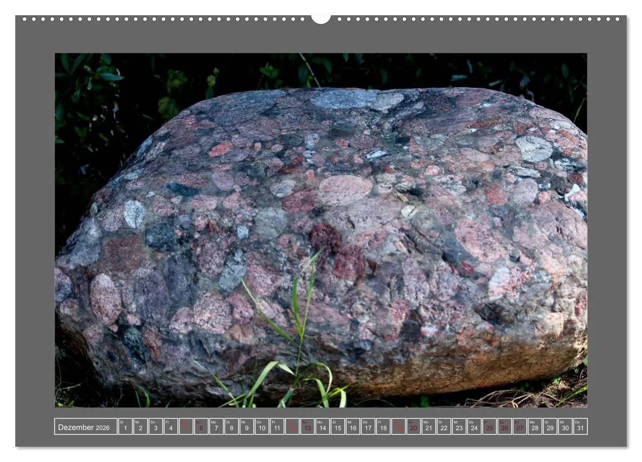 Bild: 9783516106398 | Gesteine und mineralische Bildungen (hochwertiger Premium...