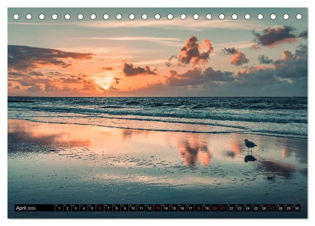 Bild: 9783435156498 | Mein Jahr auf Norderney (Tischkalender 2025 DIN A5 quer), CALVENDO...