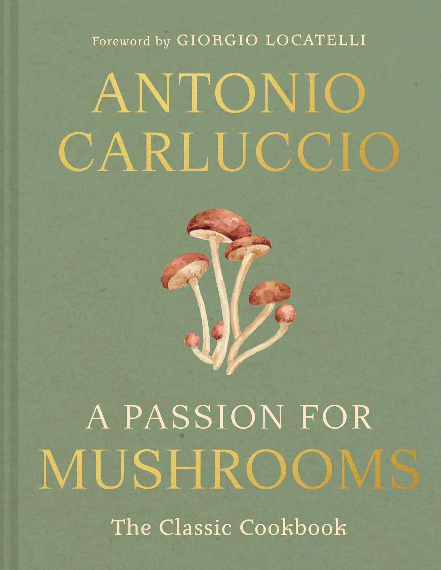 Cover: 9780008756598 | A Passion for Mushrooms | Antonio Carluccio | Buch | Englisch | 2025