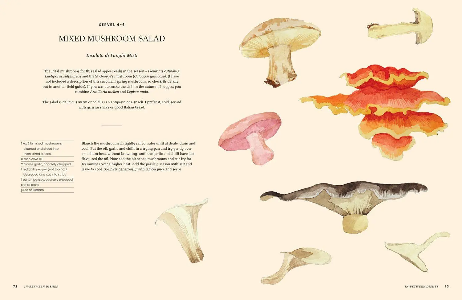 Bild: 9780008756598 | A Passion for Mushrooms | Antonio Carluccio | Buch | Englisch | 2025