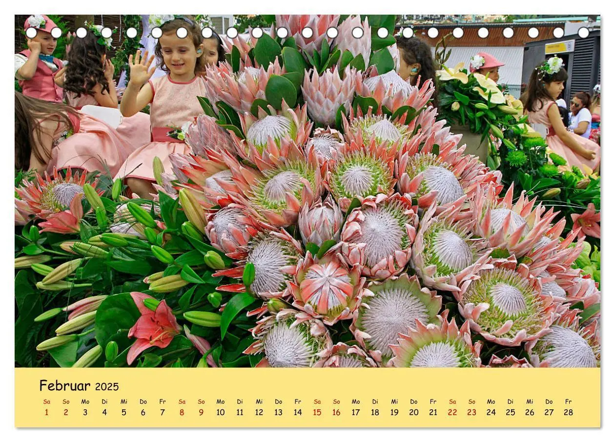 Bild: 9783435456598 | Blumenfest auf Madeira (Tischkalender 2025 DIN A5 quer), CALVENDO...