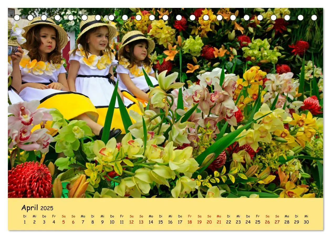 Bild: 9783435456598 | Blumenfest auf Madeira (Tischkalender 2025 DIN A5 quer), CALVENDO...