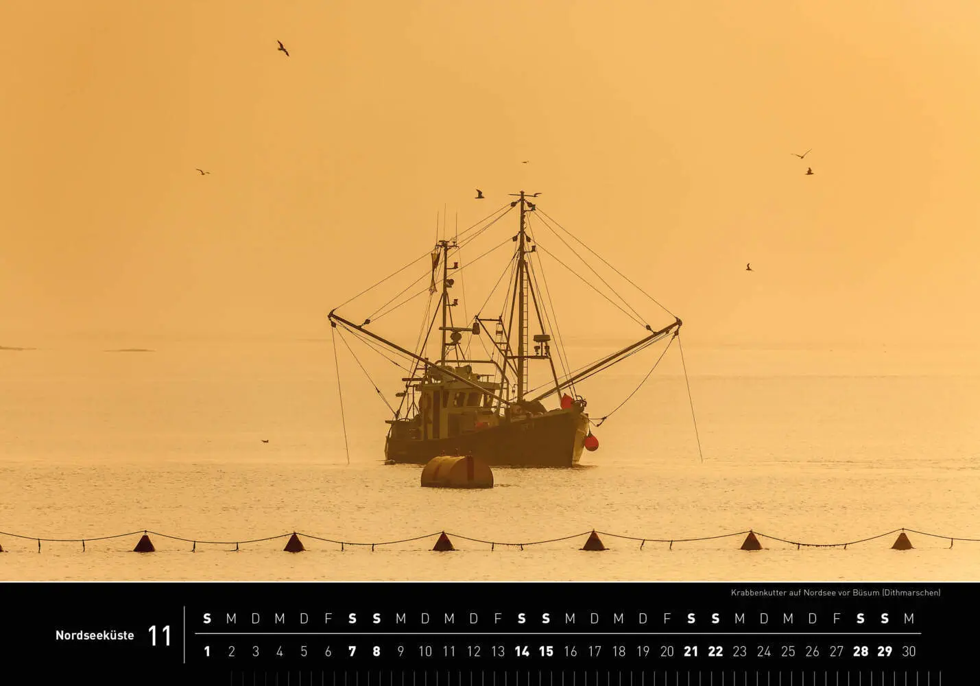 Bild: 9783968556598 | Nordseeküste Premiumkalender 2026 | Christian Bäck | Kalender | 2026