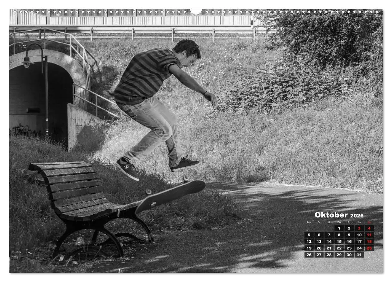 Bild: 9783516096798 | Auf dem Skateboard (Wandkalender 2026 DIN A2 quer), CALVENDO...