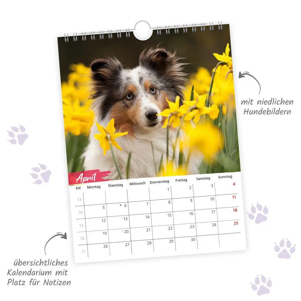 Bild: 9783988026798 | TRÖTSCH - Notizkalender zum Hängen Hunde 2027 | KG | Kalender | 24 S.