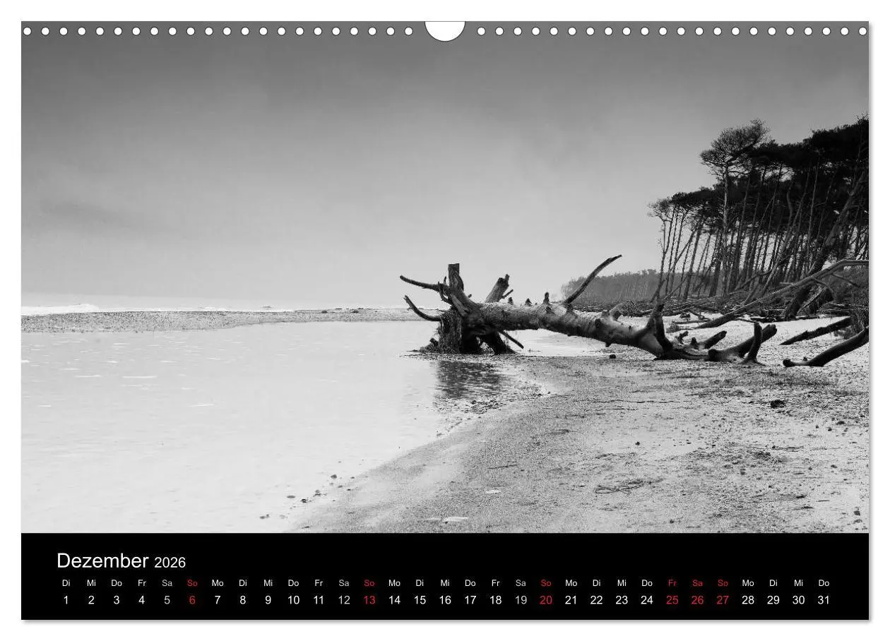 Bild: 9783516086898 | Strandspaziergang an der Ostsee (Wandkalender 2026 DIN A3 quer),...