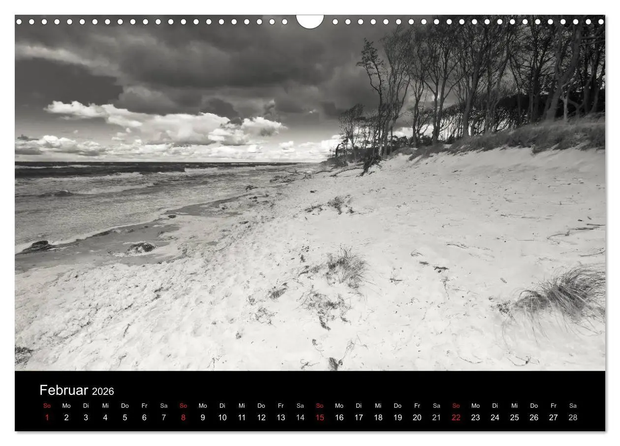Bild: 9783516086898 | Strandspaziergang an der Ostsee (Wandkalender 2026 DIN A3 quer),...