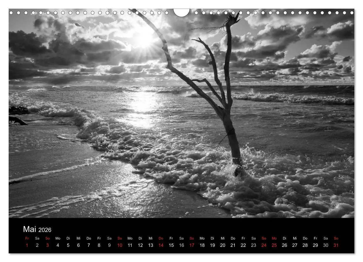 Bild: 9783516086898 | Strandspaziergang an der Ostsee (Wandkalender 2026 DIN A3 quer),...