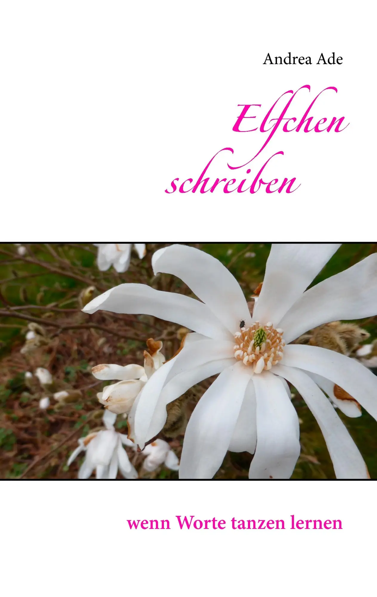 Cover: 9783738606898 | Elfchen schreiben | wenn Worte tanzen lernen | Andrea Ade | Buch