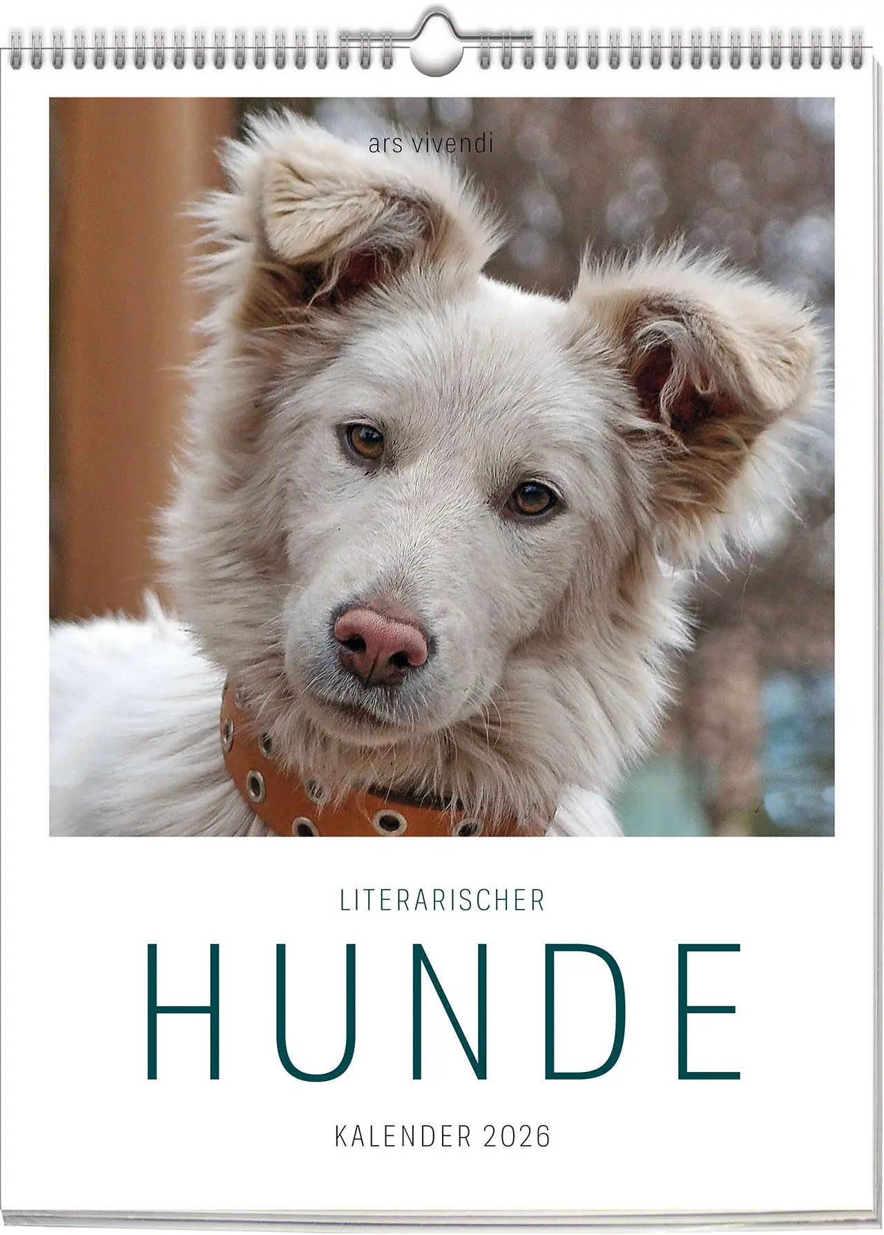Cover: 9783747206898 | Literarischer Hunde - Kalender 2026 | Wochenkalender | Vivendi Ars
