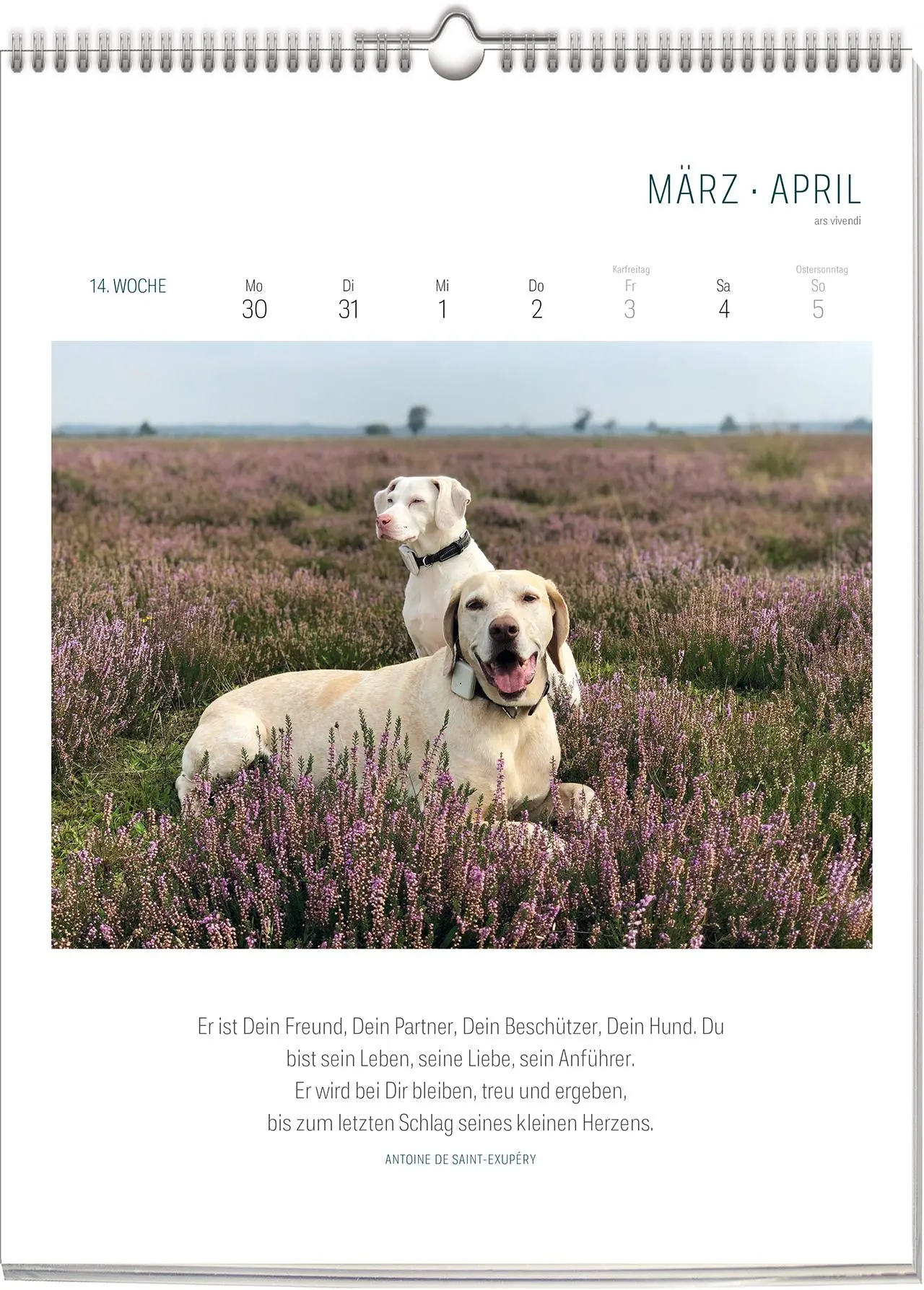 Bild: 9783747206898 | Literarischer Hunde - Kalender 2026 | Wochenkalender | Vivendi Ars