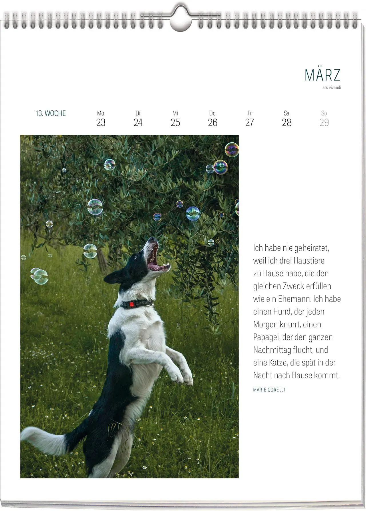 Bild: 9783747206898 | Literarischer Hunde - Kalender 2026 | Wochenkalender | Vivendi Ars