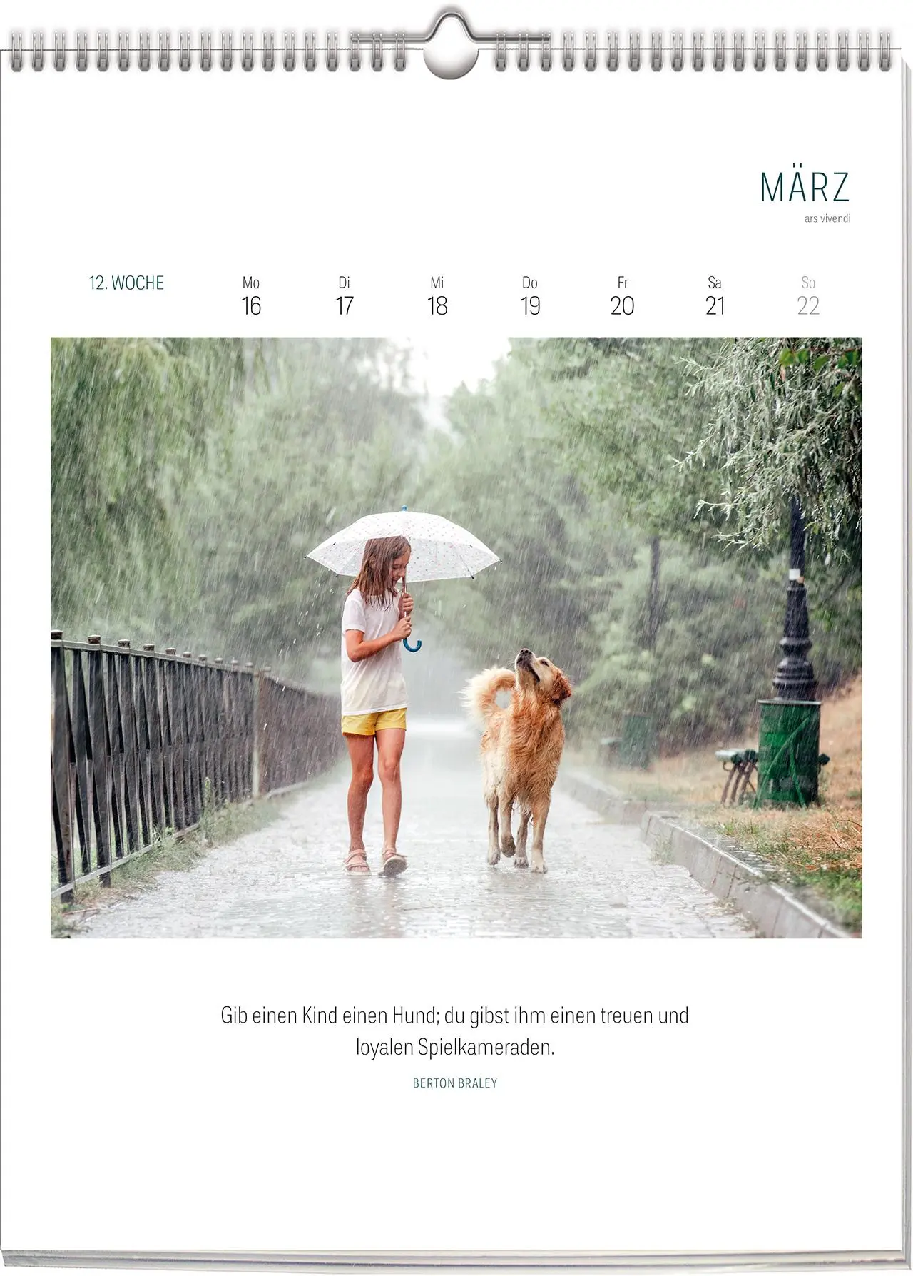 Bild: 9783747206898 | Literarischer Hunde - Kalender 2026 | Wochenkalender | Vivendi Ars