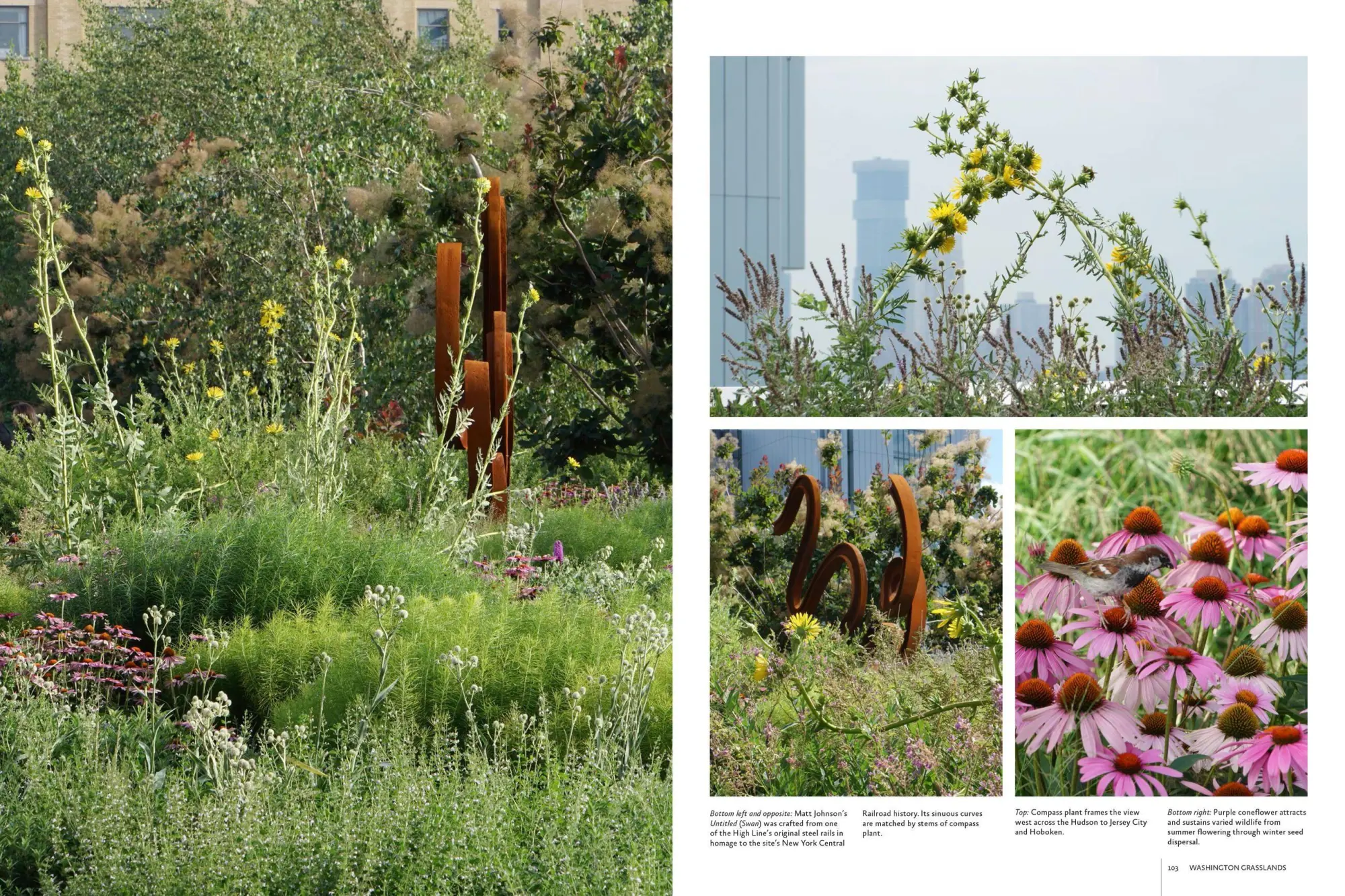 Bild: 9781604696998 | Gardens of the High Line | Elevating the Nature of Modern Landscapes