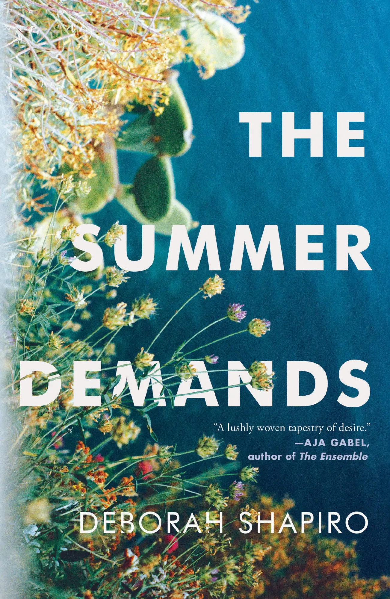 Cover: 9781948226998 | The Summer Demands | Deborah Shapiro | Taschenbuch | Englisch | 2020