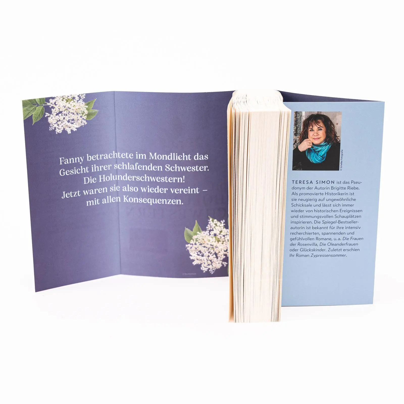 Bild: 9783499016998 | Die Holunderschwestern | Teresa Simon | Taschenbuch | 512 S. | Deutsch