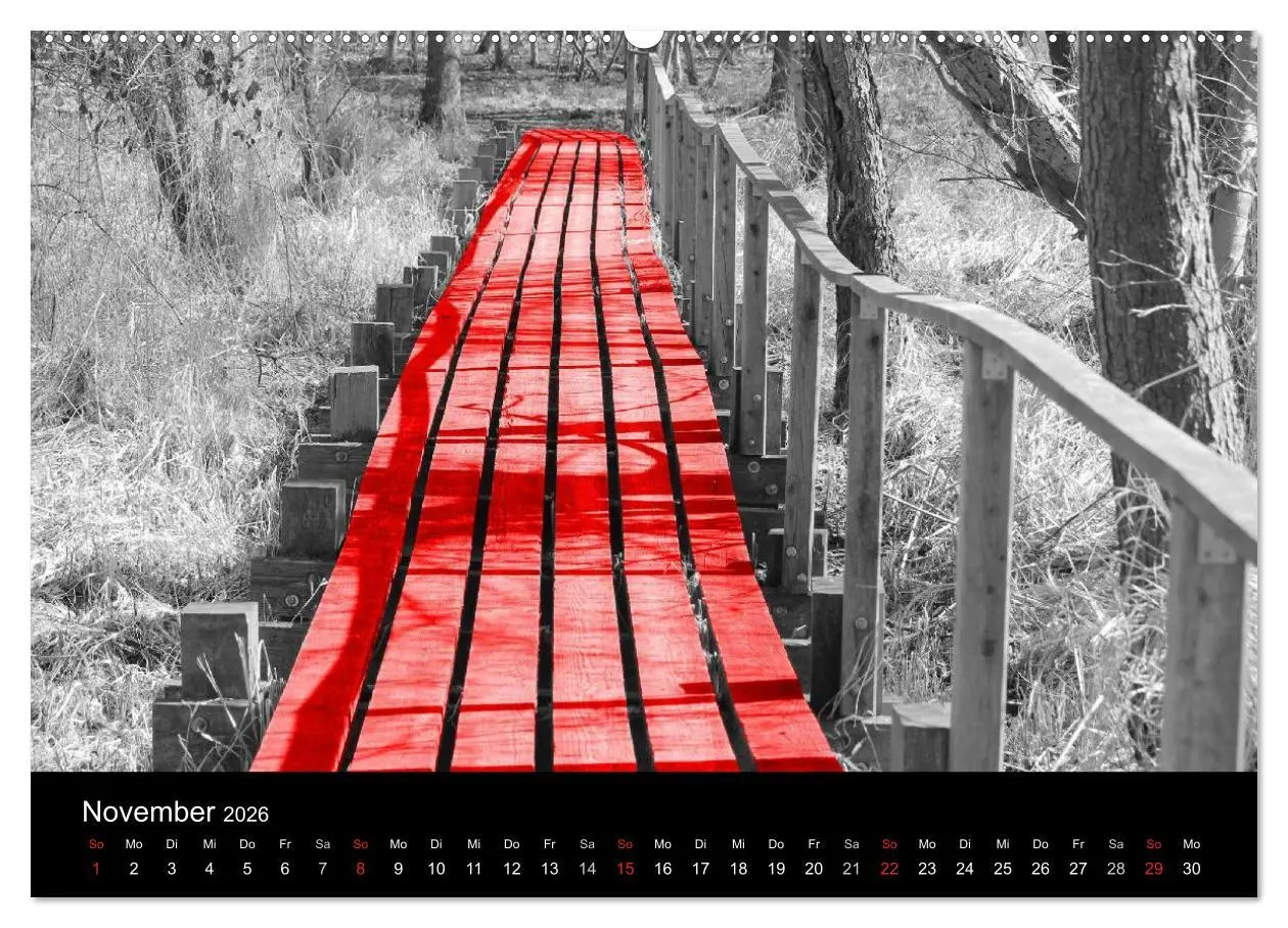 Bild: 9783516216998 | Blickfang in Rot (Wandkalender 2026 DIN A2 quer), CALVENDO...